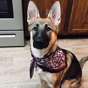 Meet your Posher, Cortney